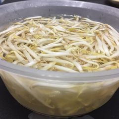 A picture of How to keep fresh Brean Sprouts.