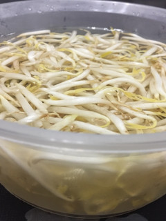 A picture of How to keep fresh Brean Sprouts.