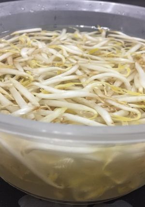 A picture of How to keep fresh Brean Sprouts.