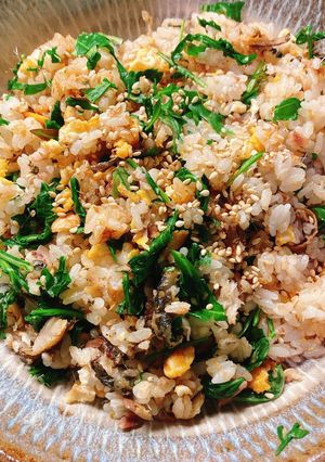 A picture of Fried rice with sardines.