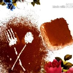 A picture of Italian triamsu dessert.