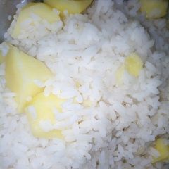 Rice with potato A picture of Rice with potato.
