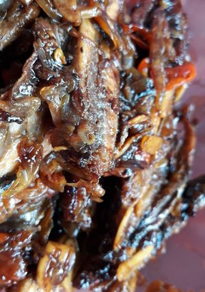 Foto resep Ikan tongkol saus tiram
