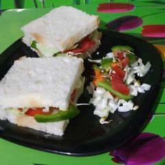 A picture of Bread Sprout Sandwich.