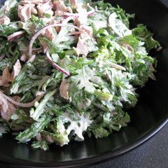A picture of Shungiku (Edible Chrysanthemum) & Tuna Mayo Salad.