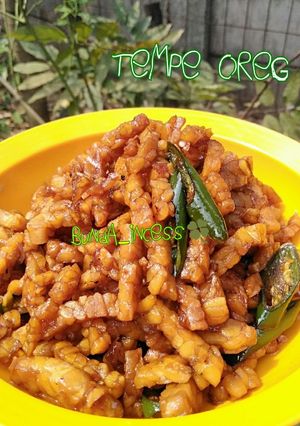 Foto resep Tempe Oreg