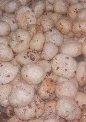 रोस्टेड मखाना (Roasted makhana recipe in Hindi) रेसिपी मुख्य फोटो