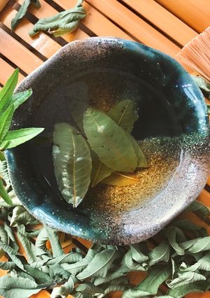 Hình của món 🌱 Trà Thảo Mộc Cỏ Roi Ngựa.