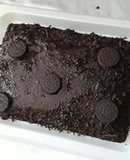 Chocolate cake with Oreo cookies
