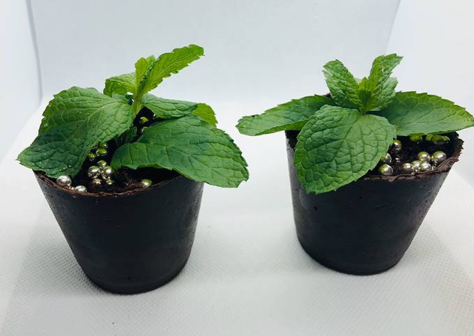 Recipe of Perfect Chocolate Pot with Cake Filling