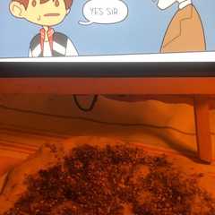 فطيرة الزعتر Zaatar pie-レシピのメイン写真