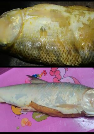 Foto resep Otak otak bandeng gresik (Jawa Timur) non msg