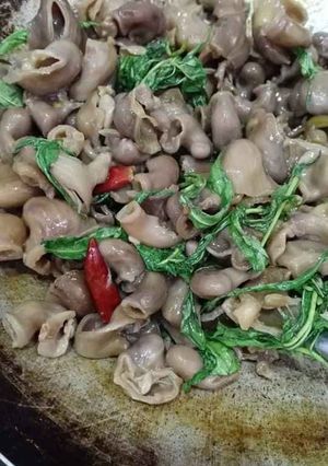 Hình của món Bao Tử Cá Khìa Nước Dừa.