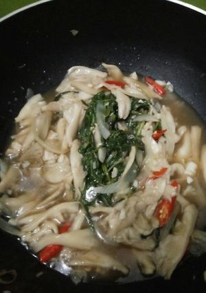 Foto resep Tumis Jamur tiram kangkung