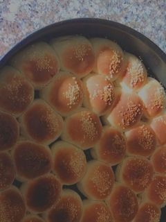 صورة لوصفة خلية نحل