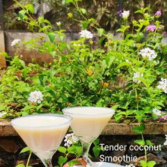 A picture of Tender coconut smoothie.