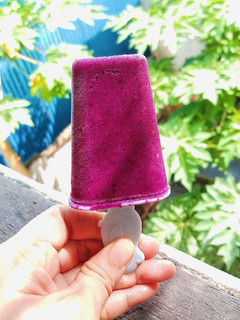 Foto resep Dragonut Popsicle Vegan