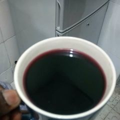 A picture of Zobo.
