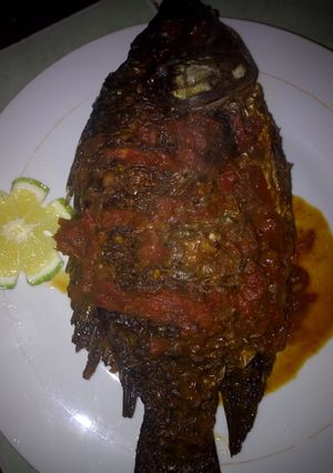 A picture of Tilapia #authormarathon.