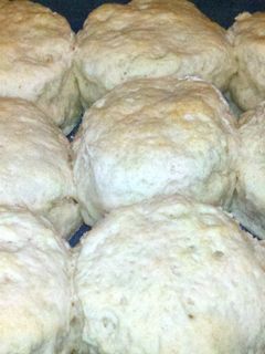 A picture of MILE HIGH BISCUITS.