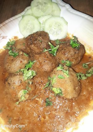 A picture of Mutton kofte.