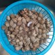 Kerang Dara Kuah Kare