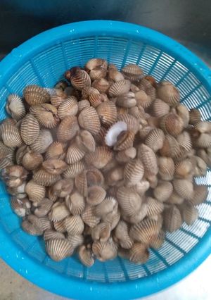 Foto resep Kerang Dara Kuah Kare