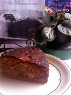 A picture of Rhubarb spice cake.