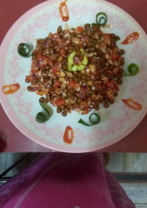 A picture of Sprouts chat.