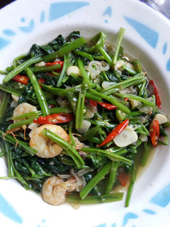 Foto resep Tumis Kangkung Bumbu Iris