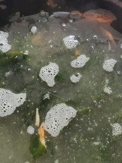 Foto resep Sup rumput laut (miyeok guk)