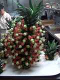 Fruit tree