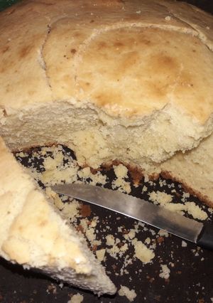 Una foto de Torta de aceite