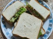 Gambar sandwich tuna