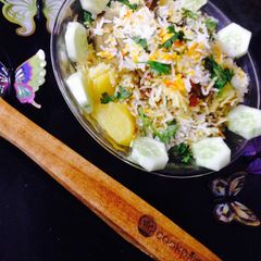 A picture of DEGGI biryani.