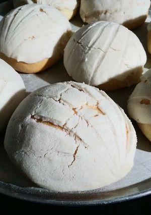 Una foto de Conchas