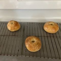 A picture of Inner Circle Yogurt Bagels (Beginner Level, High-Protein).
