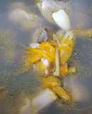 蛤蜊蒜頭金針花雞湯