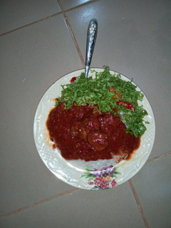 A picture of Rice & stew with salad.