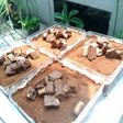 Tiramisu nutella dessert box