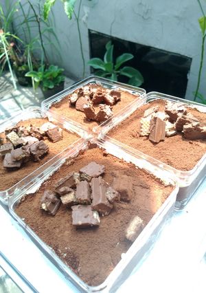 Foto resep Tiramisu nutella dessert box