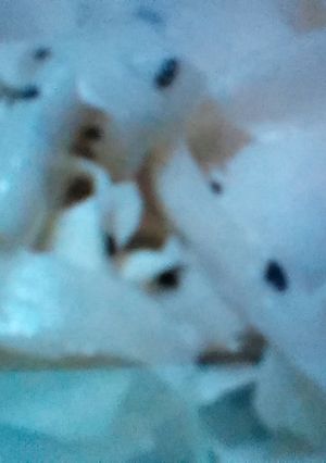 Foto principal de Ensalada de nabo muy agradable (para adultos). Apto celiacos y alergicos.