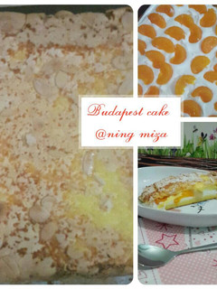 Foto resep 60. Budapest cake