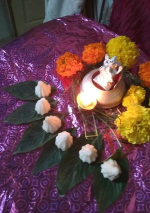 A picture of Traditional Udikachi modak.