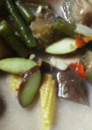 Foto resep Lodeh terong pedes dg pete