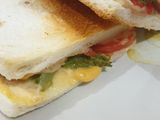 Tuna Sandwich