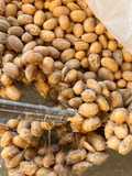 Homemade Natto
