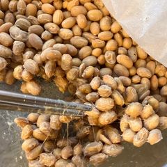 A picture of Homemade Natto.