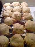 Melonpan