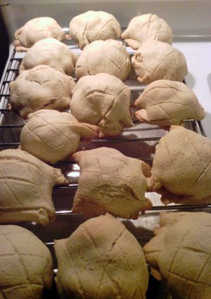 A picture of Melonpan.